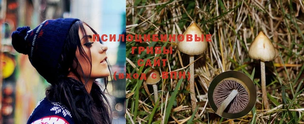 jwh Алексеевка